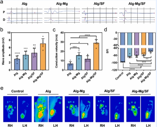 微信截图_20250122100533