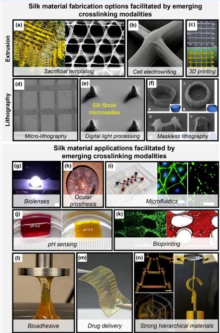 微信截图_20250122102722